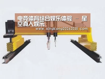 产品名称十八