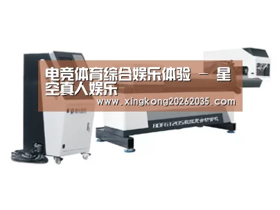 案例展示四