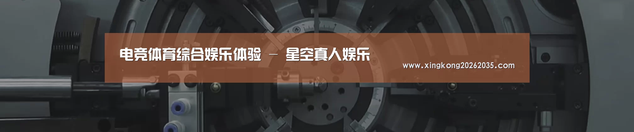 某某机械公司